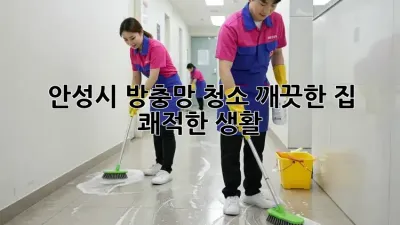 안성시 방충망 청소: 깨끗한 집, 쾌적한 생활!