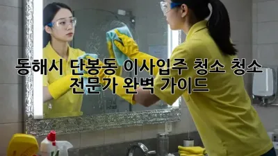 동해시 단봉동 이사/입주 청소, ✨청소 전문가✨ 완벽 가이드